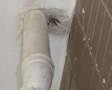 澄迈漏水检测哪家好